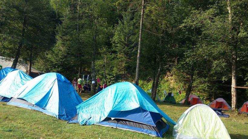 11920395_1215485258465506_19016133_n