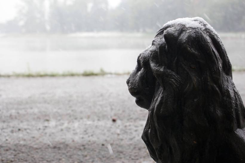 12087869_10153589247655726_7875320876974488939_o