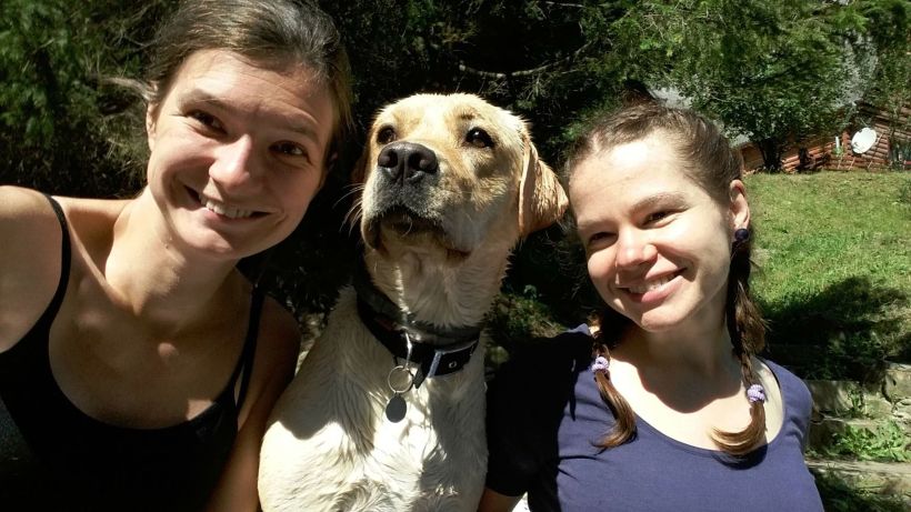 52075931_434547530616679_4130071999584141312_n